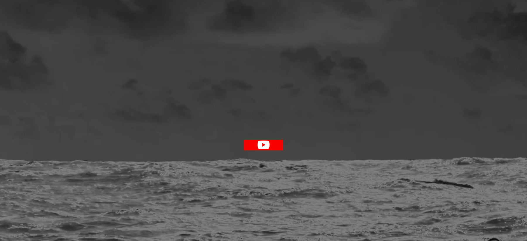 404® Official Site – 404® SEAS